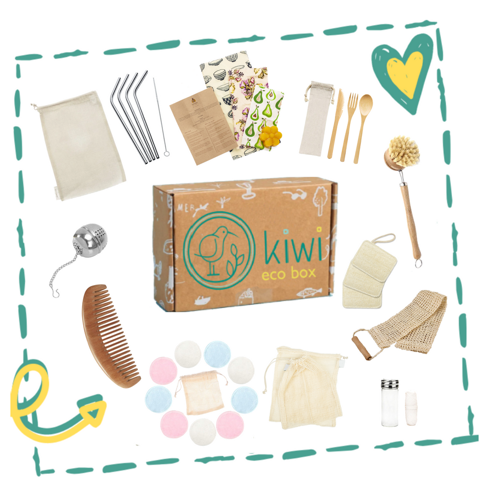 Kiwi Eco Box | Complete Zero-Waste Starter Kit